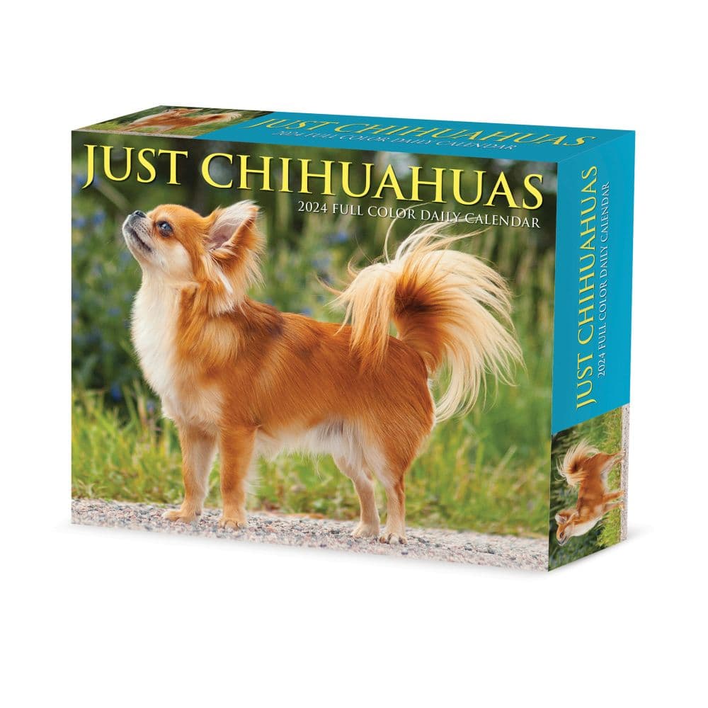 Just Chihuahuas 2024 Desk Calendar