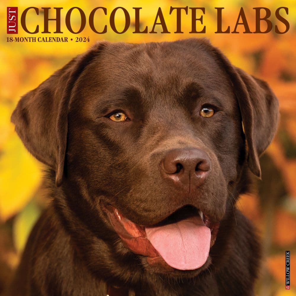 Just Chocolate Labs 2024 Wall Calendar