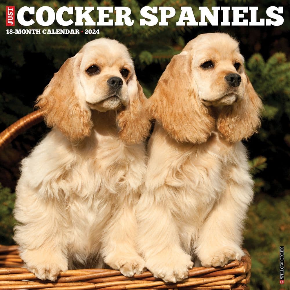 Just Cocker Spaniels 2024 Wall Calendar