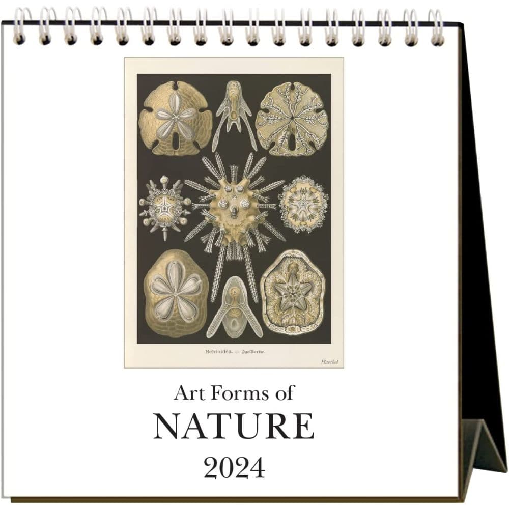 Art Forms of Nature 2024 Easel Calendar