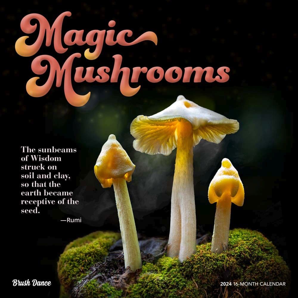 Magic Mushrooms 2024 Wall Calendar