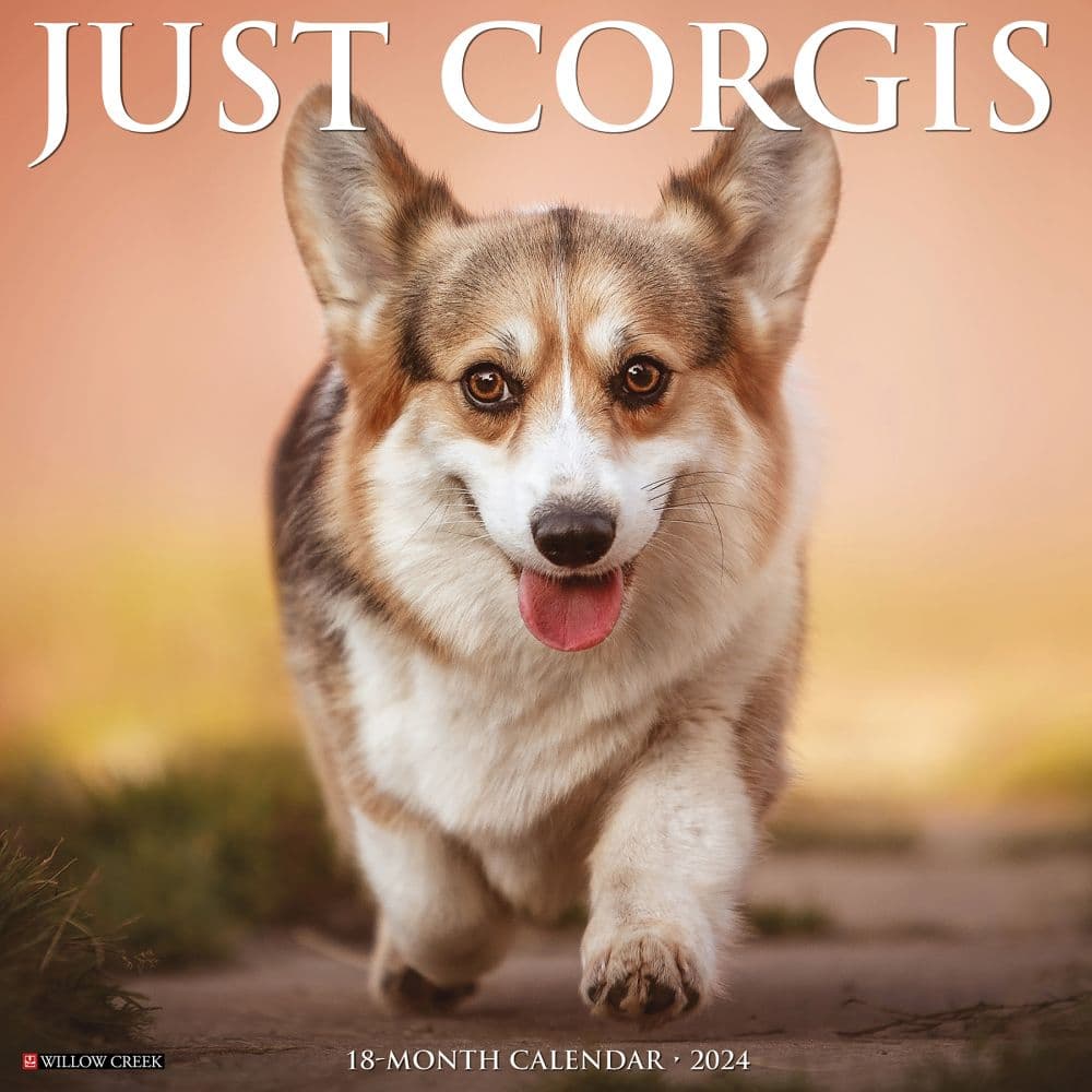 Just Corgis 2024 Wall Calendar