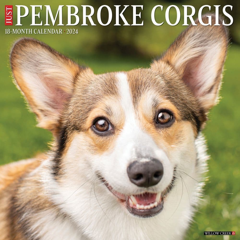 Just Corgis Pembrook 2024 Wall Calendar