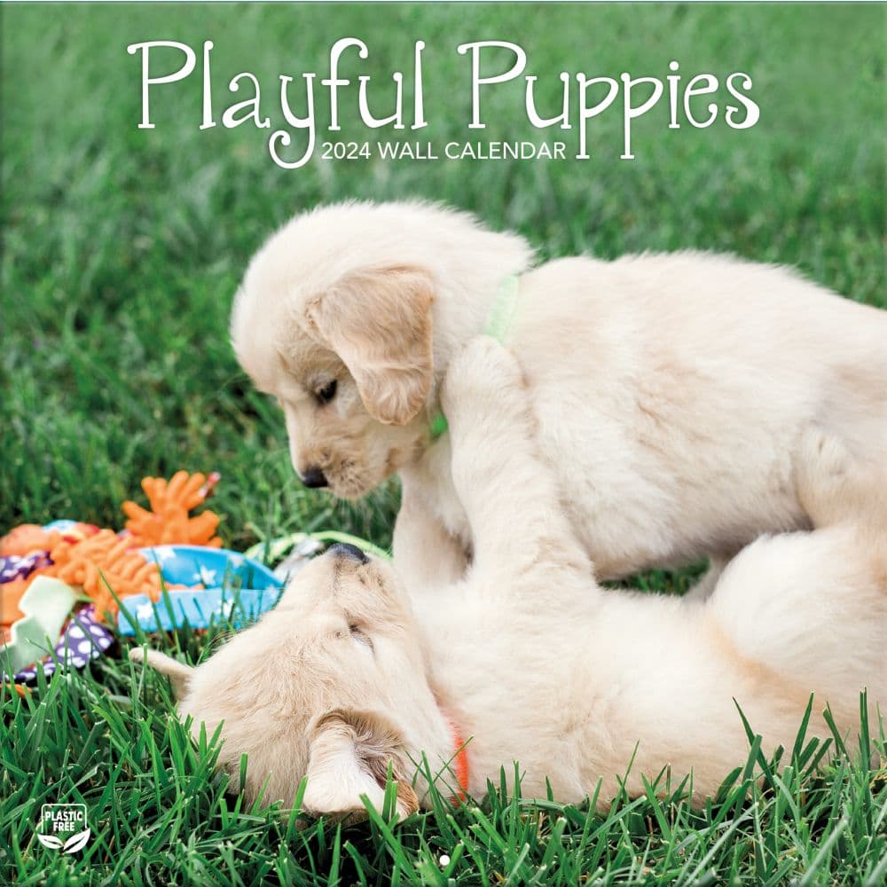 Playful Puppies 2024 Wall Calendar