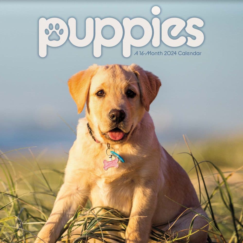 Puppies 2024 Mini Wall Calendar