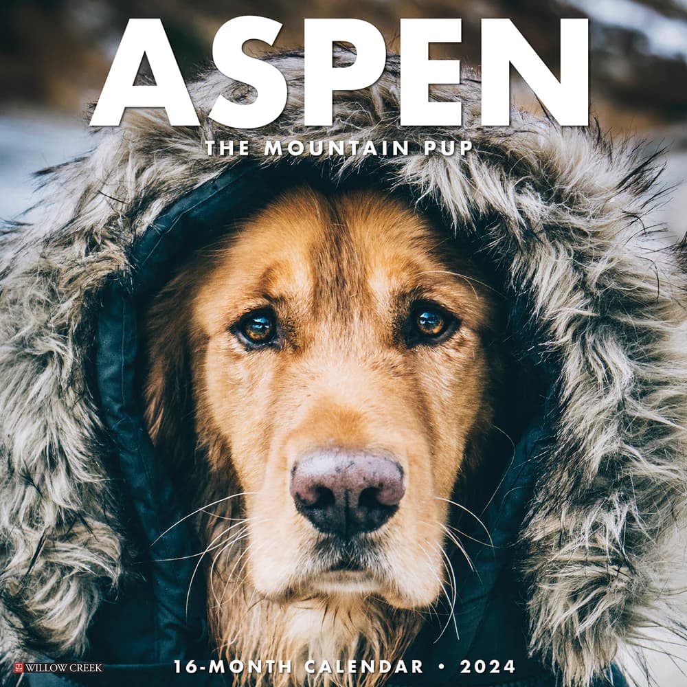 Aspen The Mountain Pup 2024 Wall Calendar