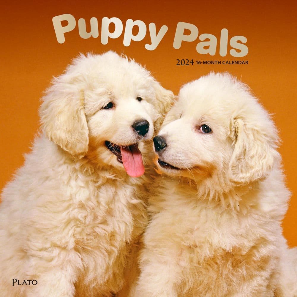 Puppy Pals 2024 Wall Calendar