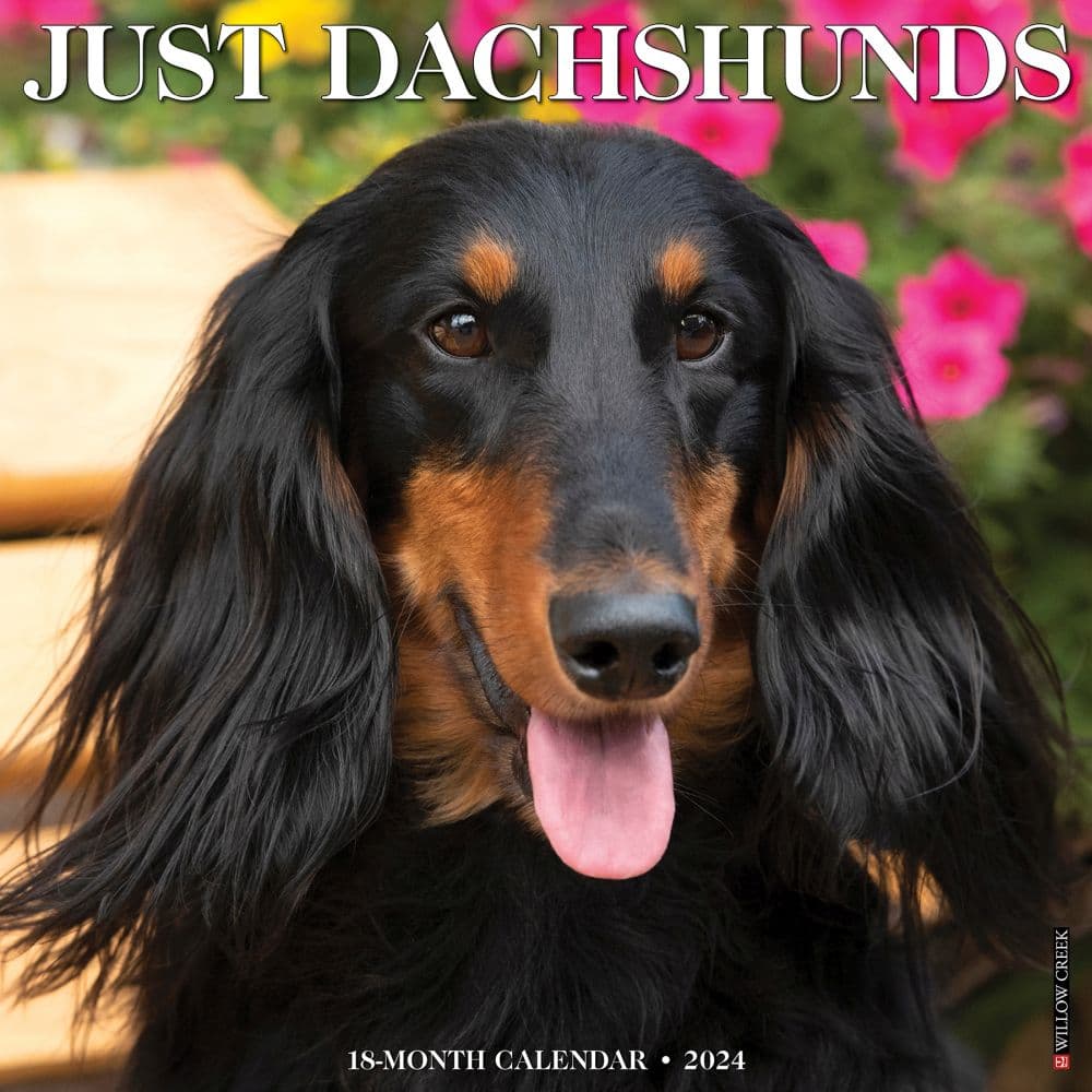 Just Dachshunds 2024 Wall Calendar