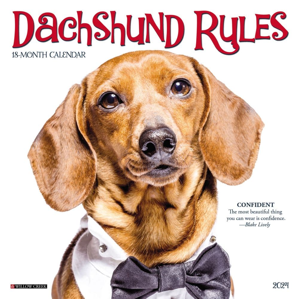 Dachshund Rules 2024 Mini Wall Calendar