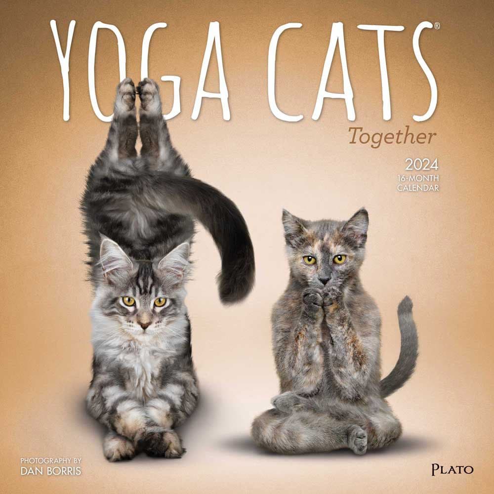 Yoga Cats Together 2024 Wall Calendar