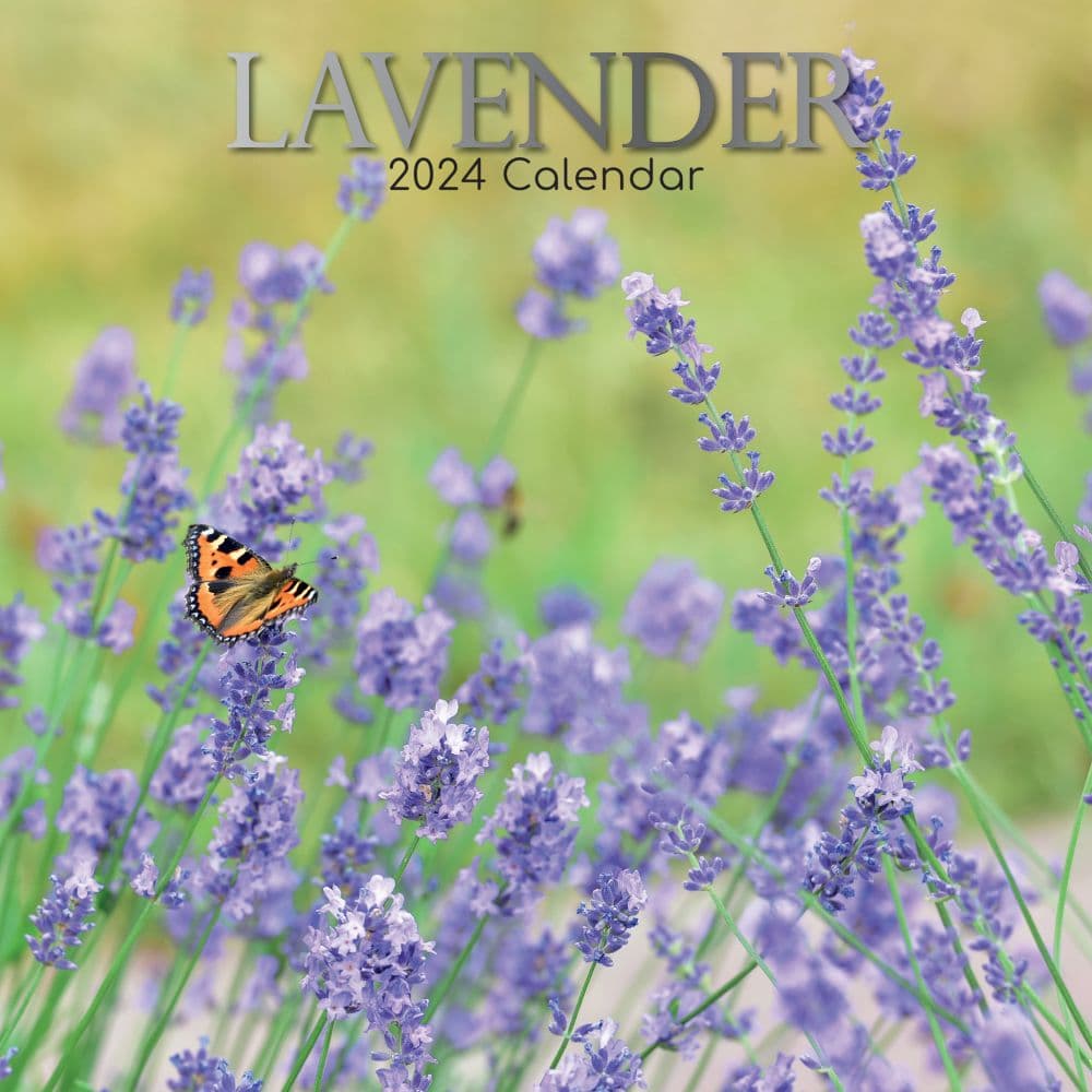 Lavender 2024 Wall Calendar