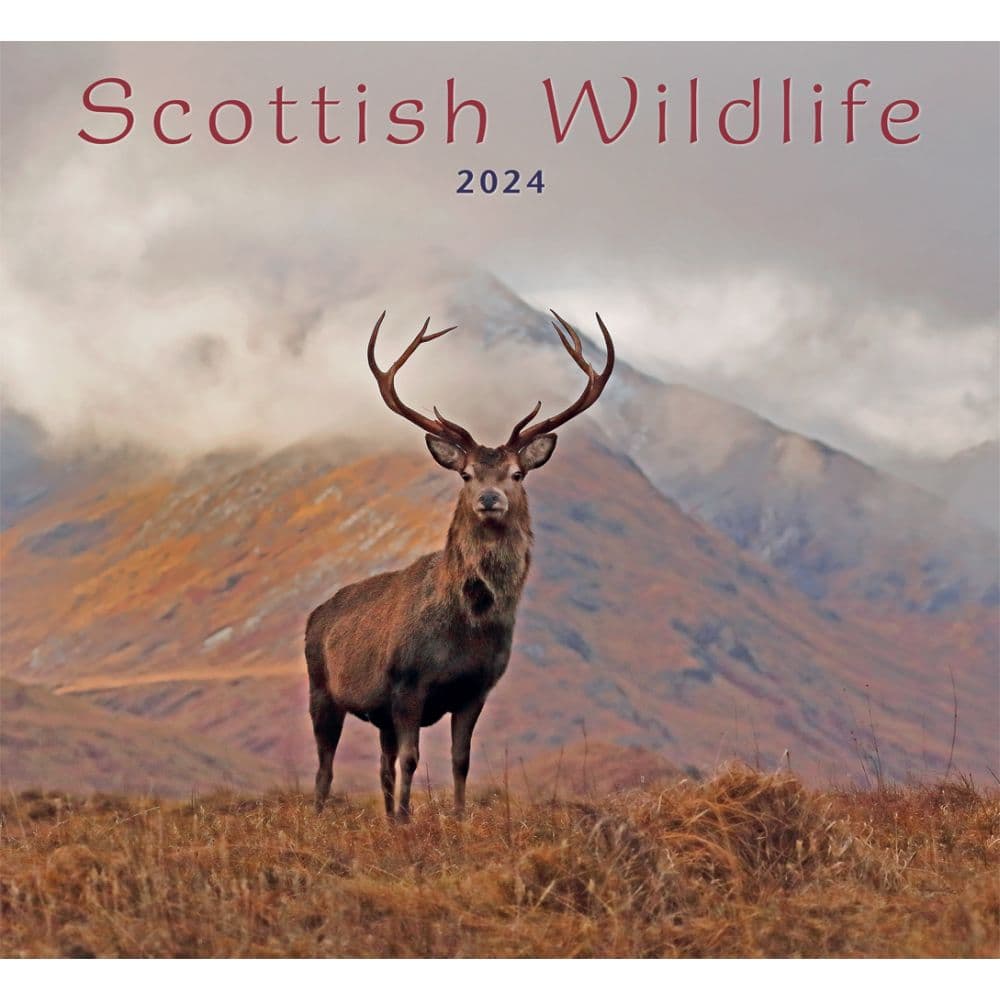 Scottish Wildlife 2024 Wall Calendar