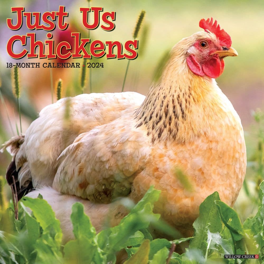 Just Chickens 2024 Wall Calendar