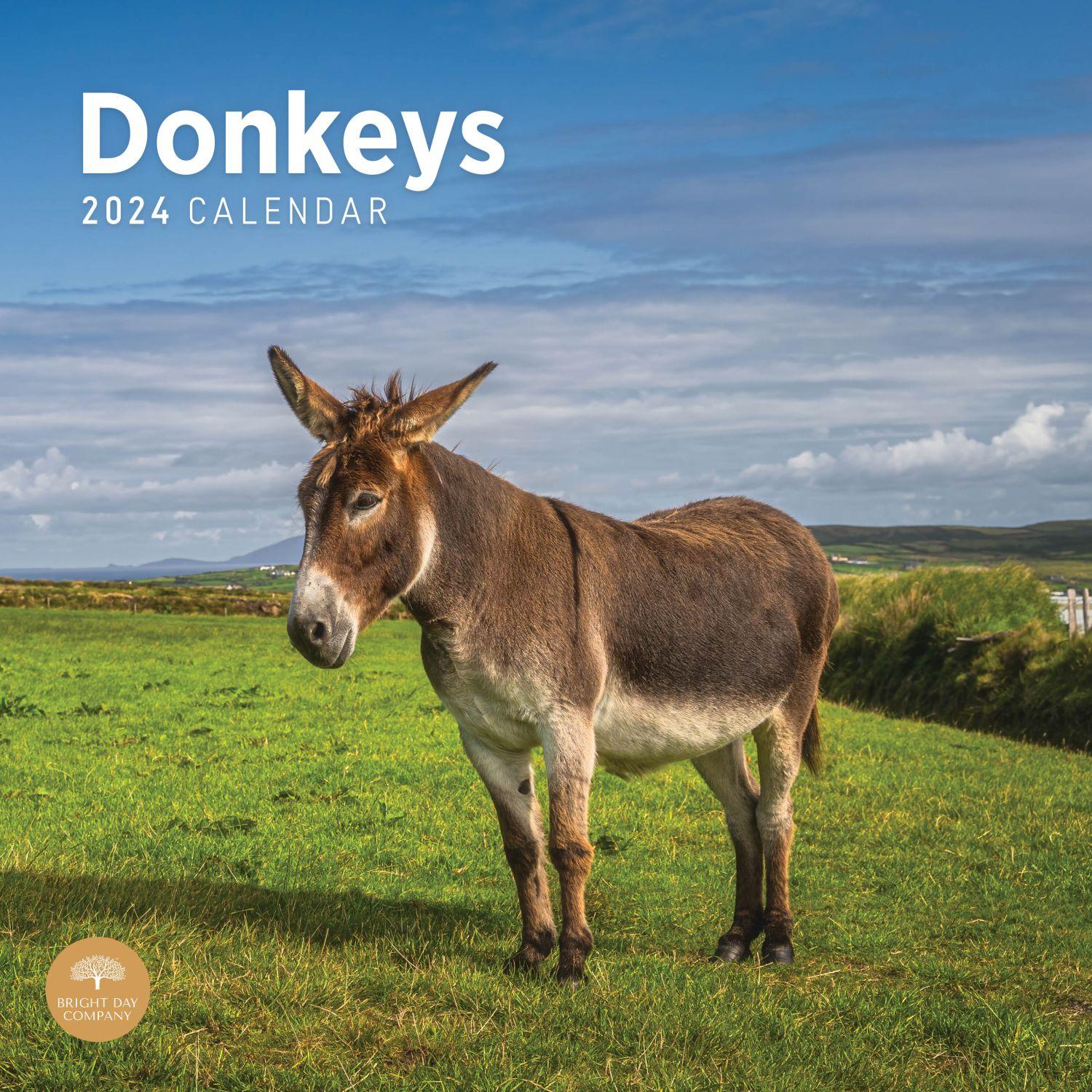 Donkeys 2024 Wall Calendar