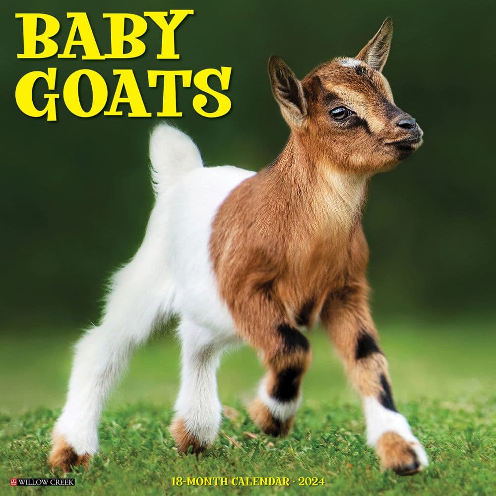 Baby Goats 2024 Wall Calendar