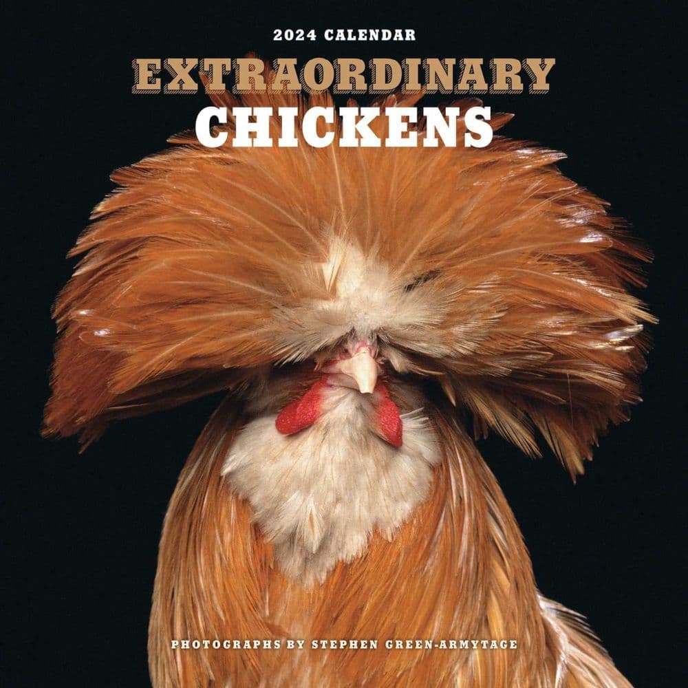 Extraordinary Chickens 2024 Wall Calendar