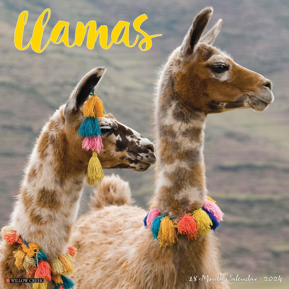 Llamas 2024 Wall Calendar