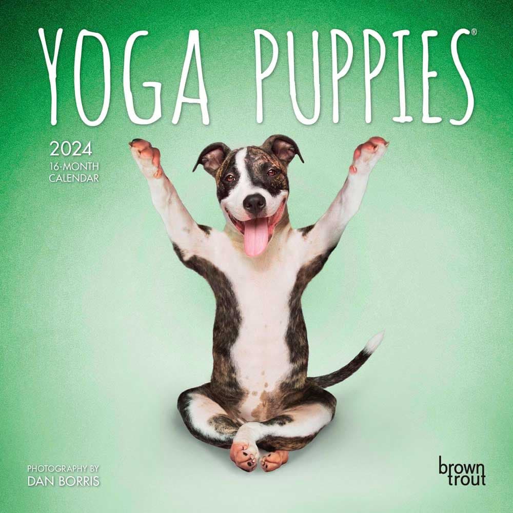 Yoga Puppies 2024 Mini Wall Calendar