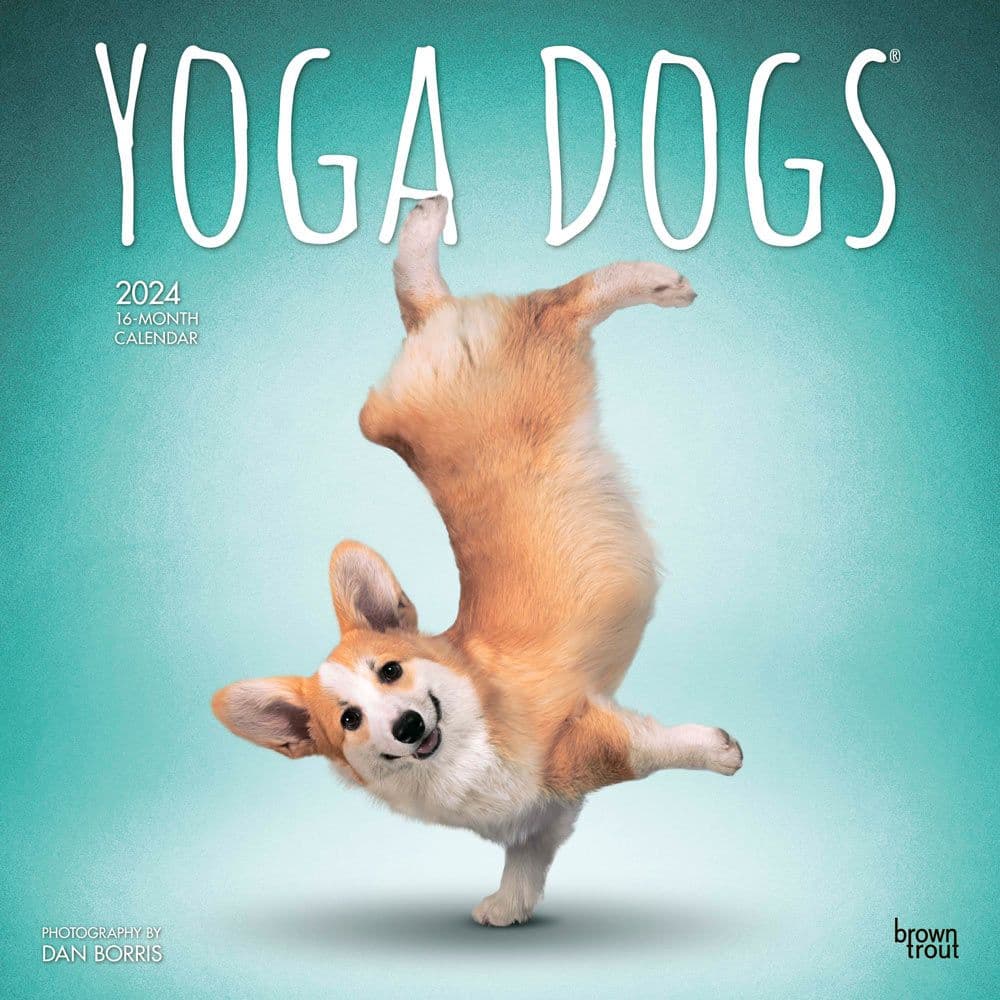 Yoga Dogs 2024 Wall Calendar