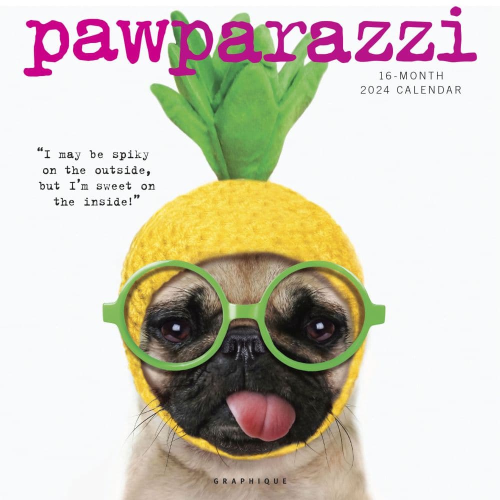 Pawparazzi 2024 Mini Wall Calendar