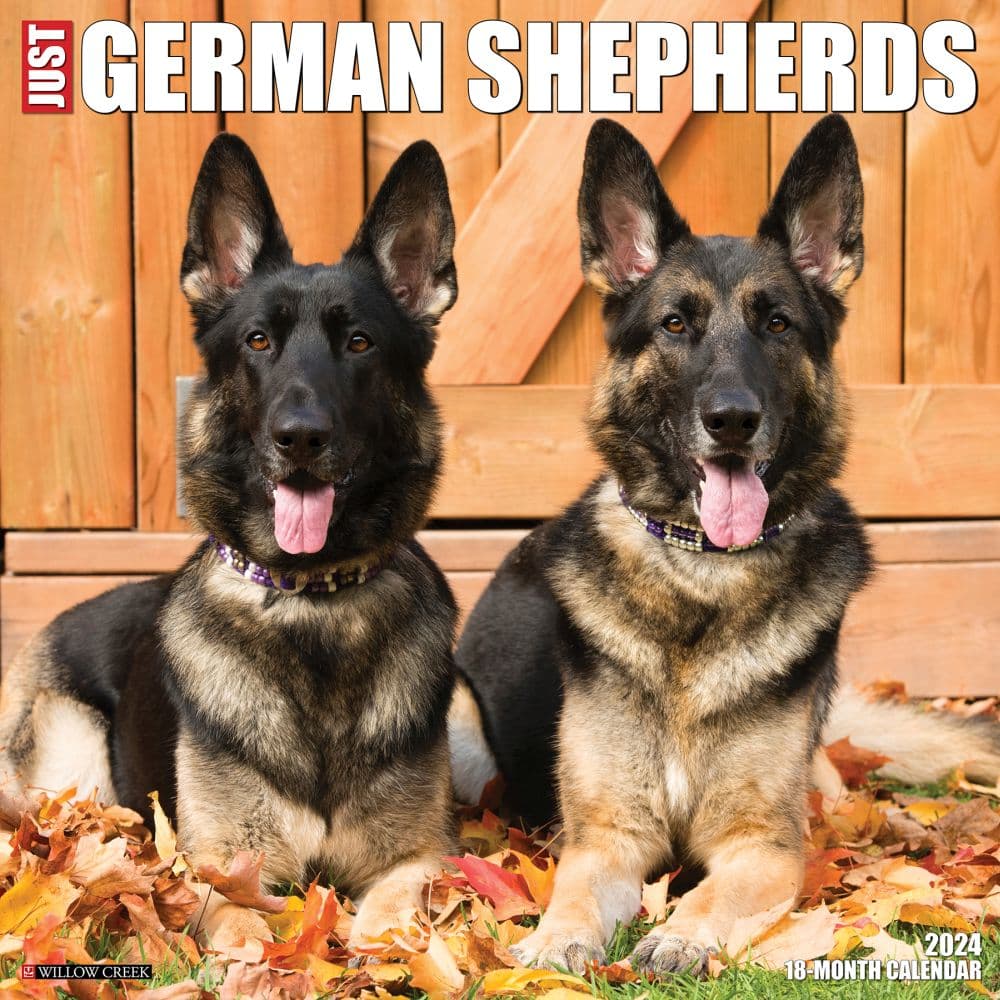 Just German Shepherds 2024 Wall Calendar