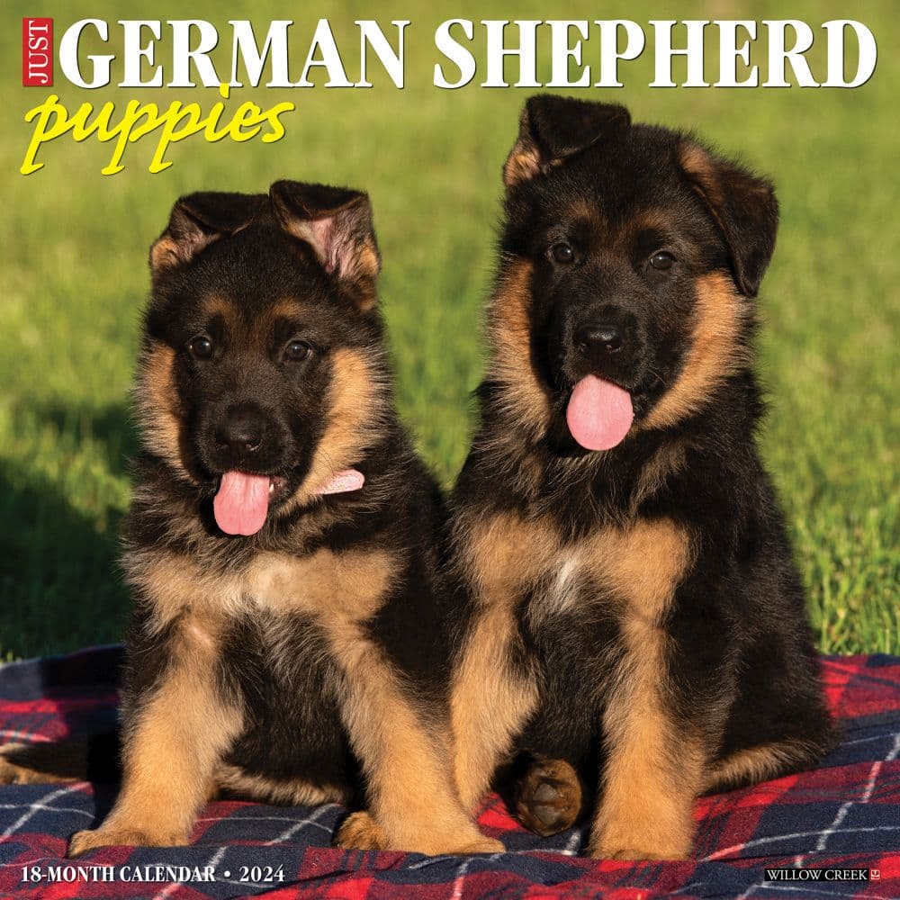 Just German Shepherd Puppies 2024 Wall Calendar