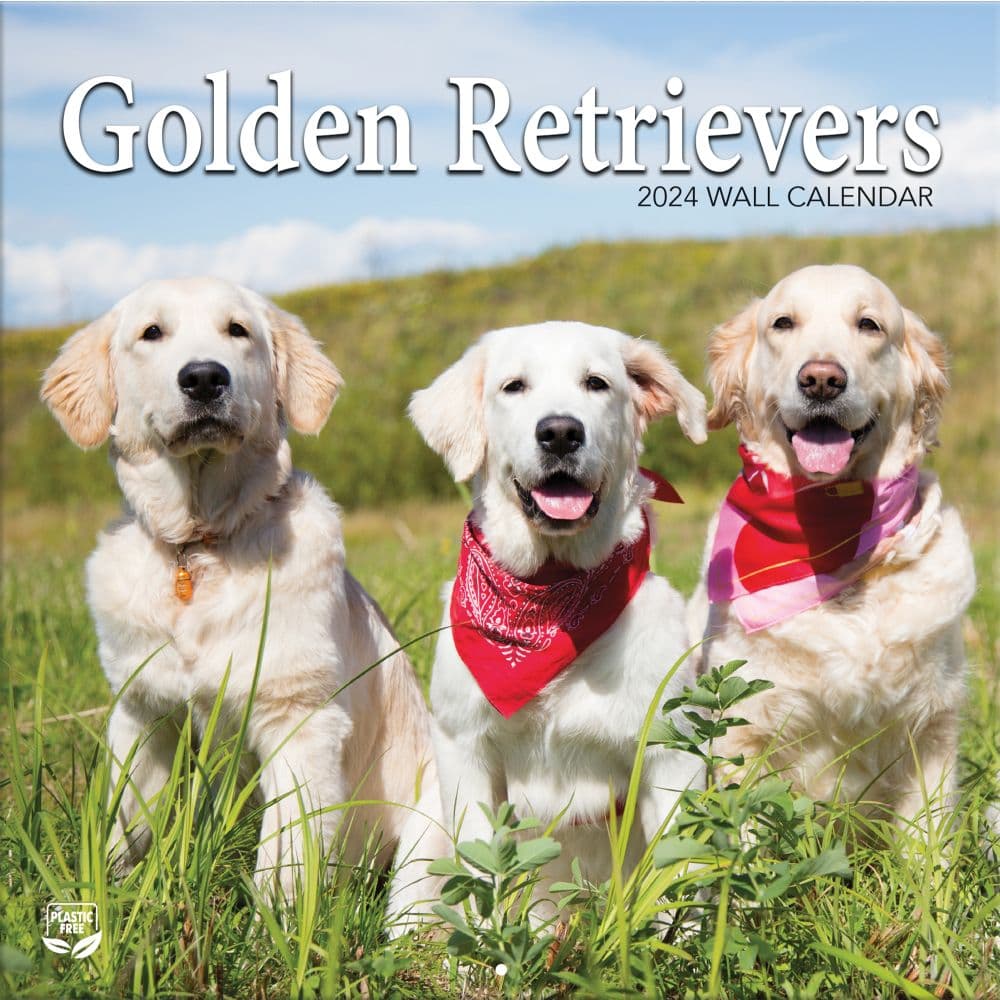 Golden Retrievers Photo 2024 Wall Calendar