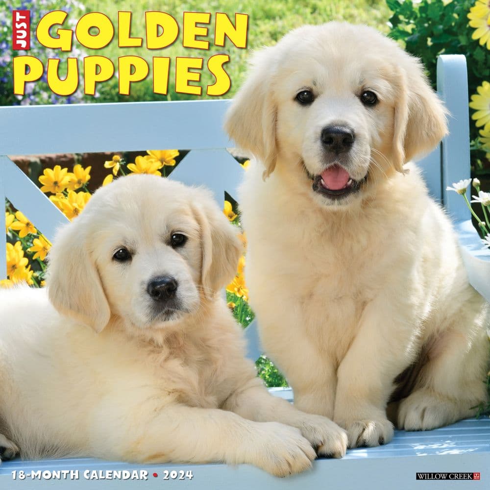 Just Golden Puppies 2024 Wall Calendar