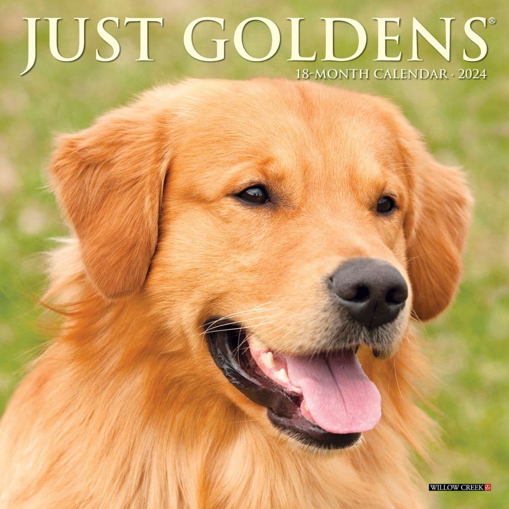 Just Goldens 2024 Mini Wall Calendar