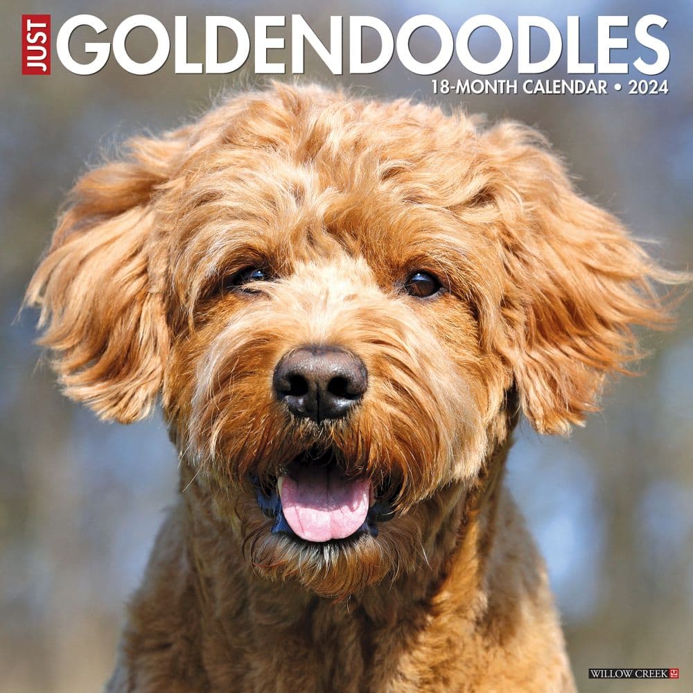 Just Goldendoodle 2024 Wall Calendar