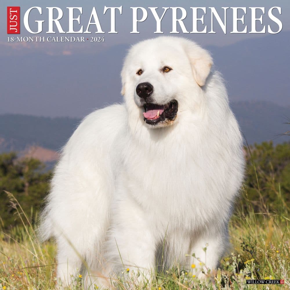 Just Great Pyrenees 2024 Wall Calendar