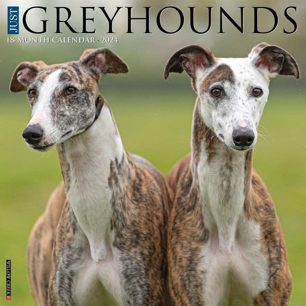 Just Greyhounds 2024 Wall Calendar