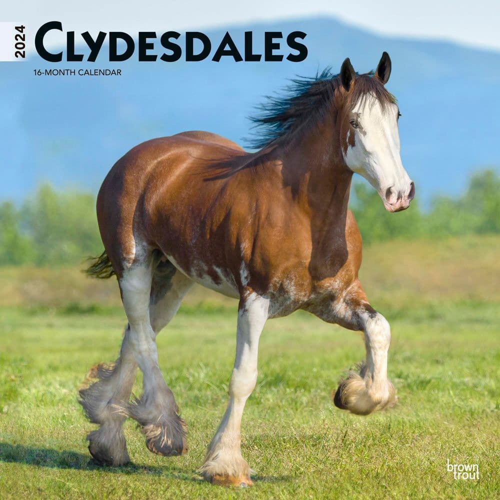 Clydesdales 2024 Wall Calendar