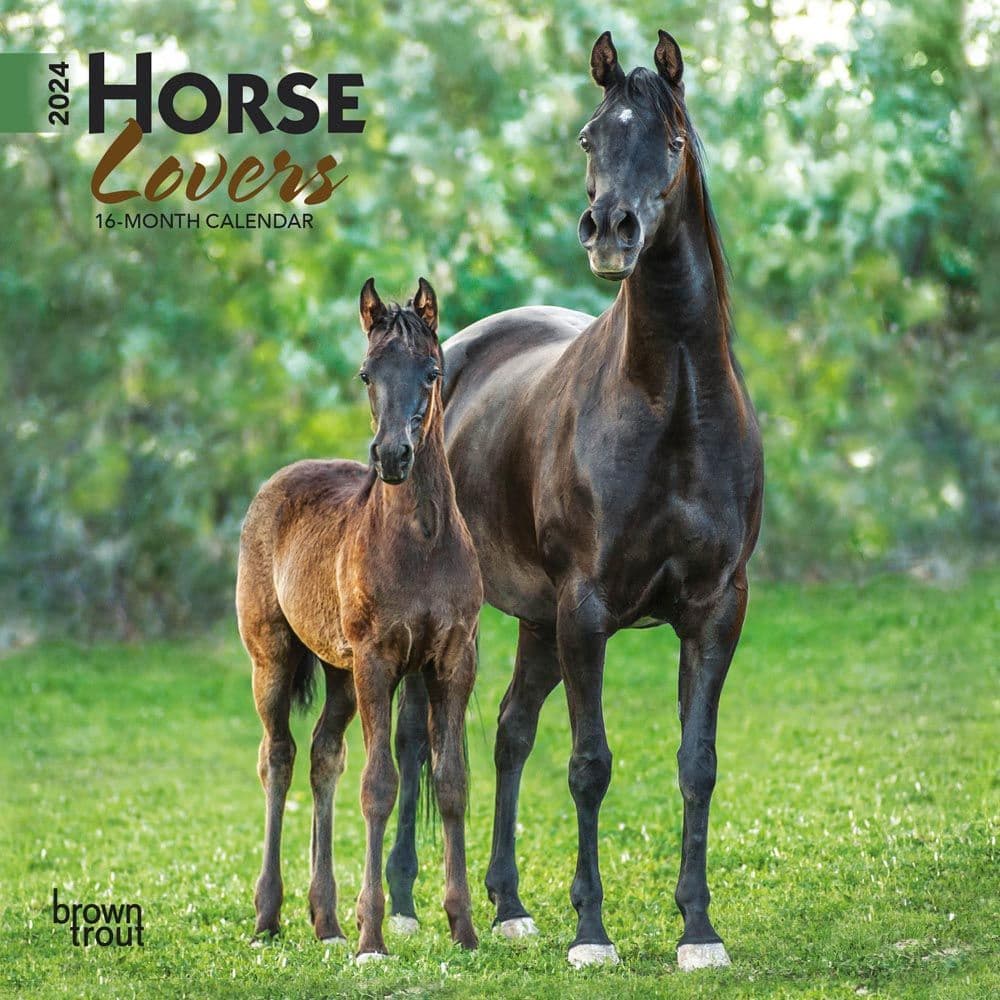 Horses  2024 Mini Wall Calendar