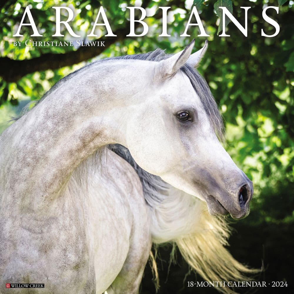 Arabians 2024 Wall Calendar