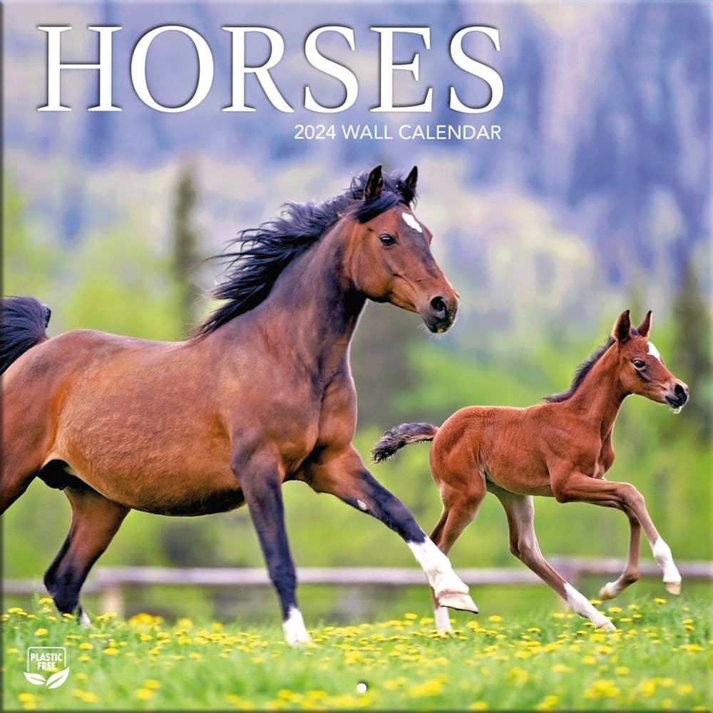 Horses 2024 Mini Wall Calendar