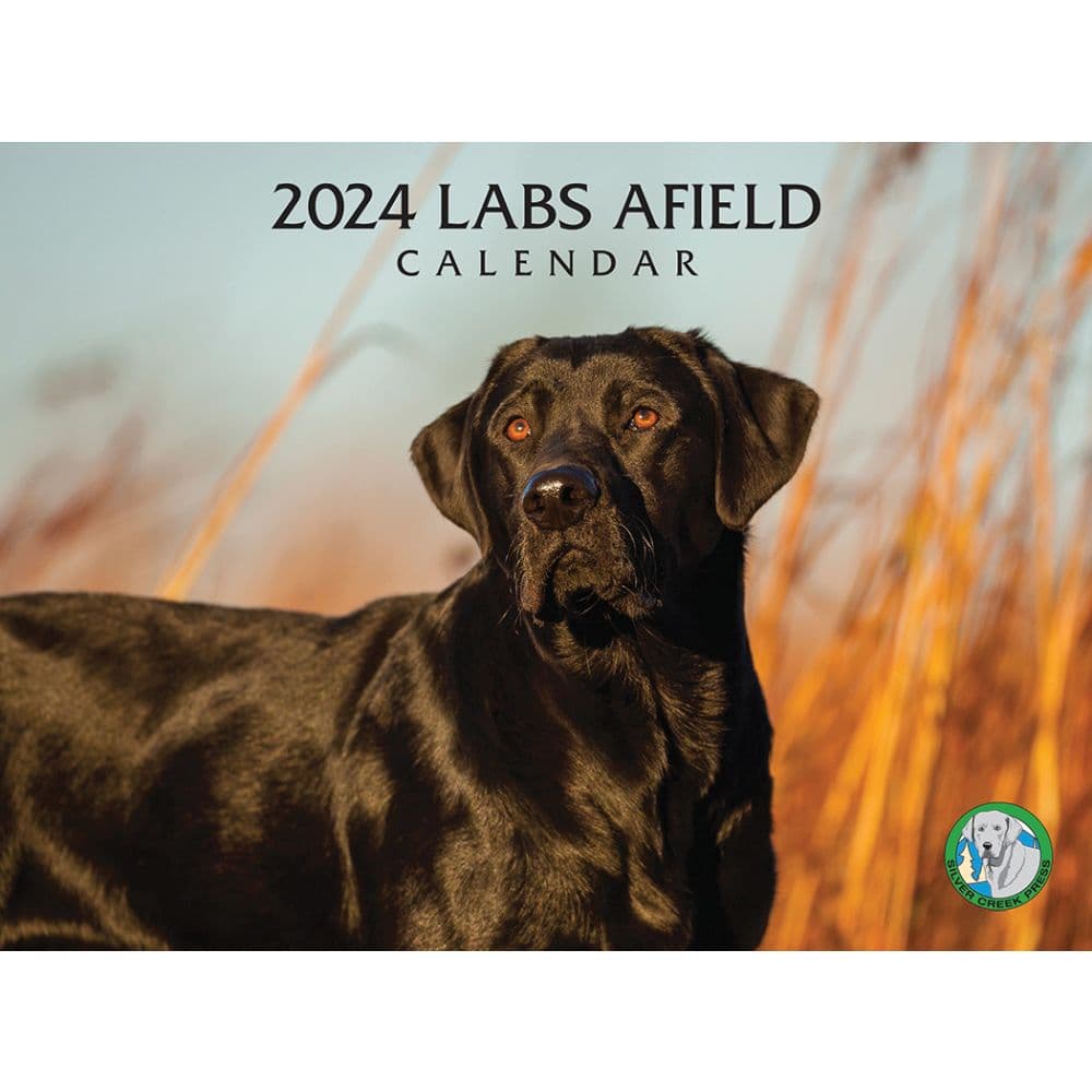 Labs Afield 2024 Wall Calendar