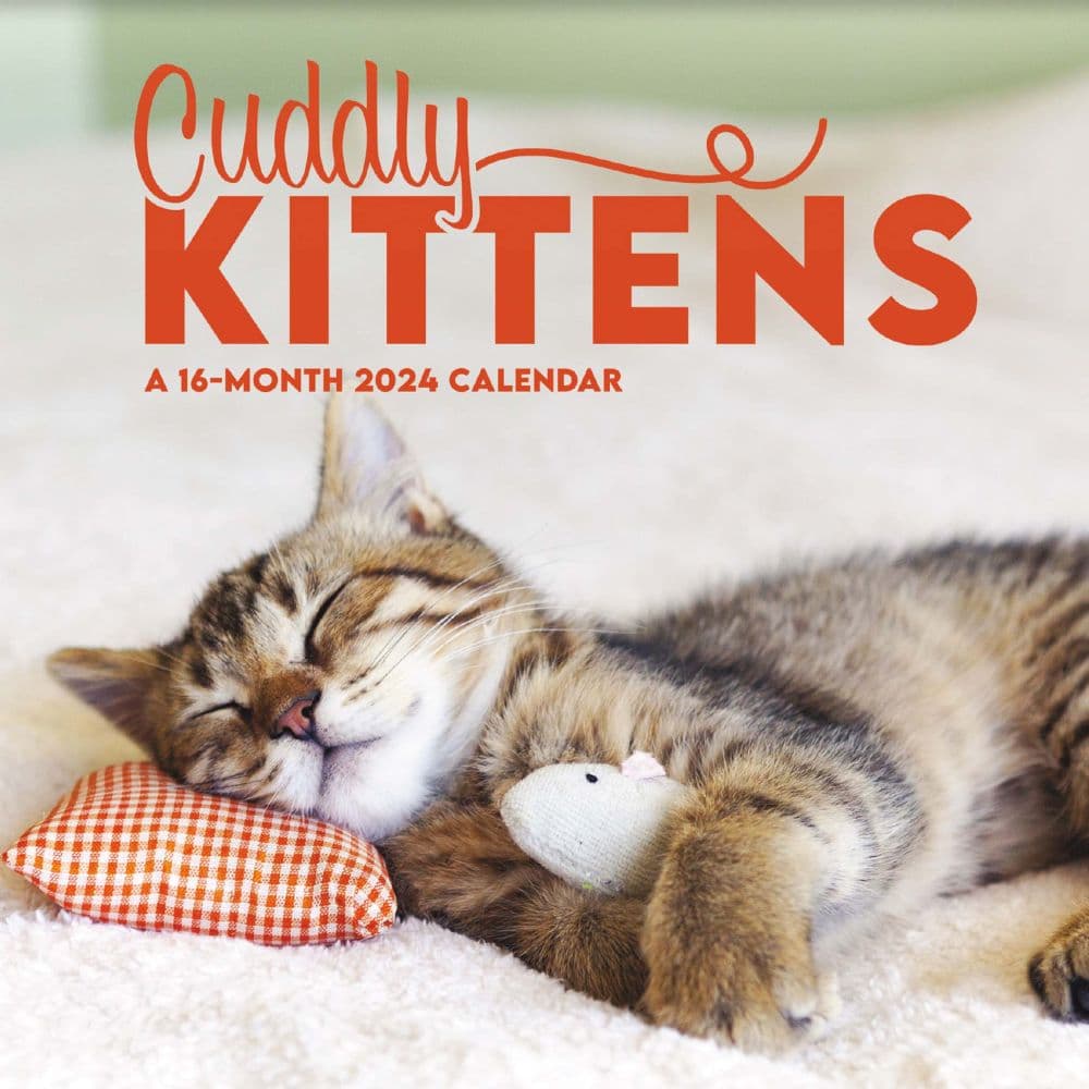 Kittens 2024 Mini Wall Calendar