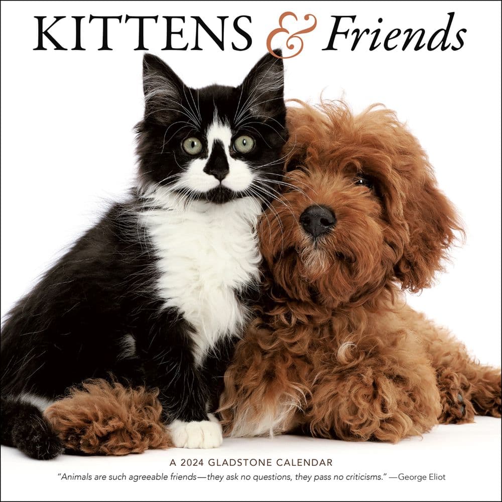 Kittens & Friends 2024 Wall Calendar