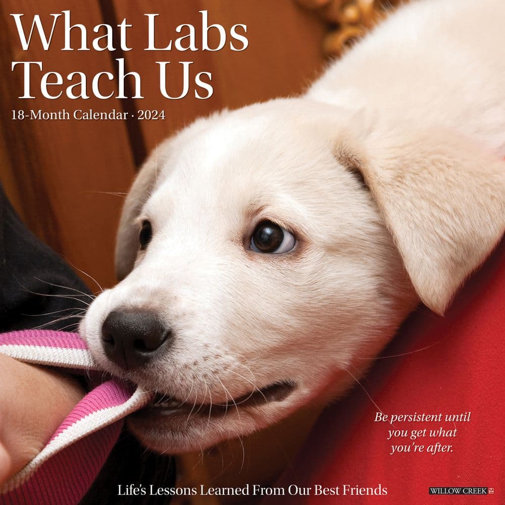 What Labs Teach Us 2024 Wall Calendar