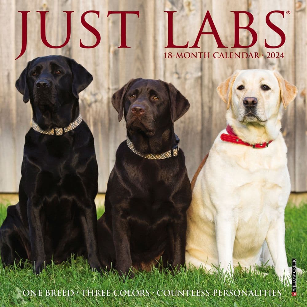 Just Labs 2024 Mini Wall Calendar