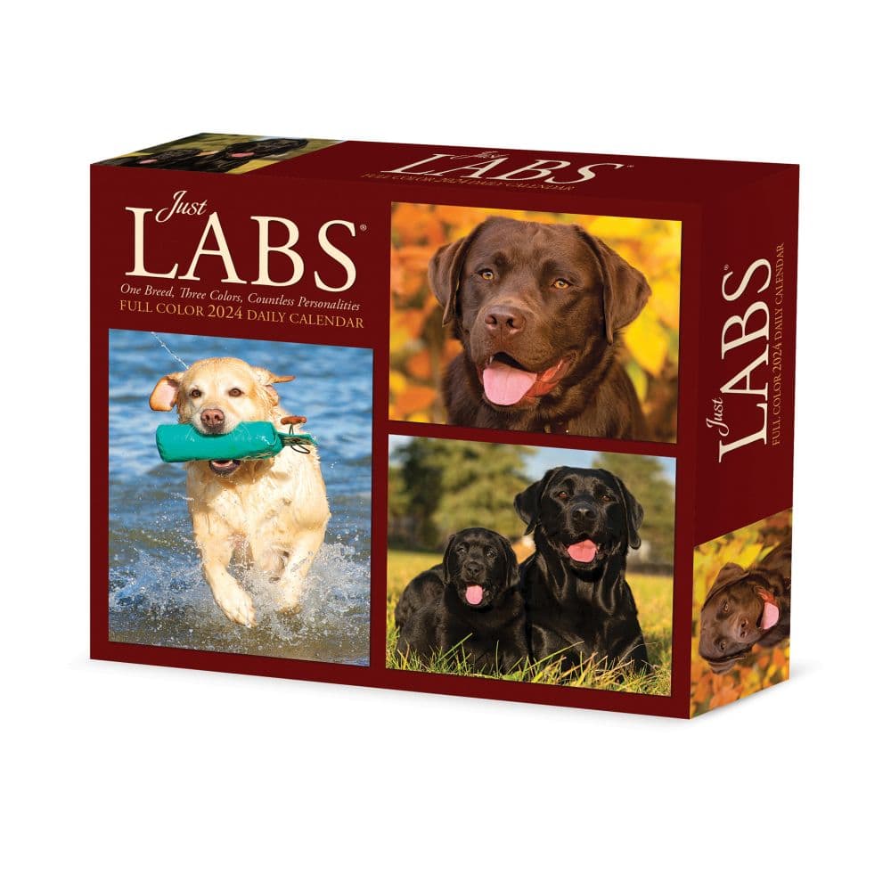 Just Labs 2024 Desk Calendar