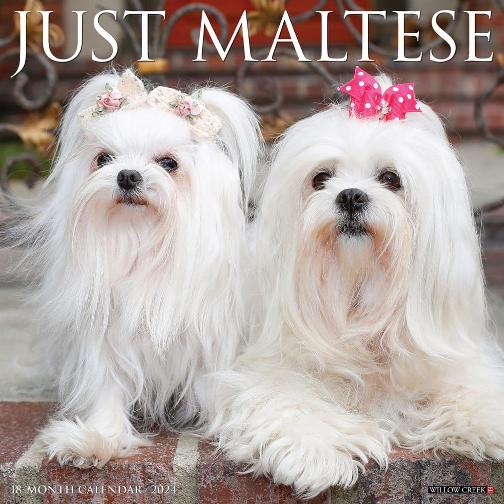 Just Maltese 2024 Wall Calendar