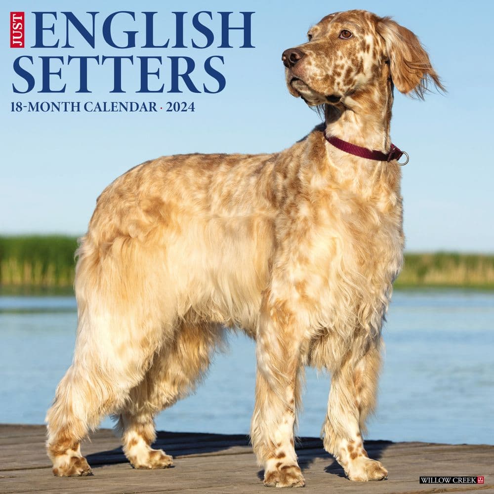 Just English Setters 2024 Wall Calendar