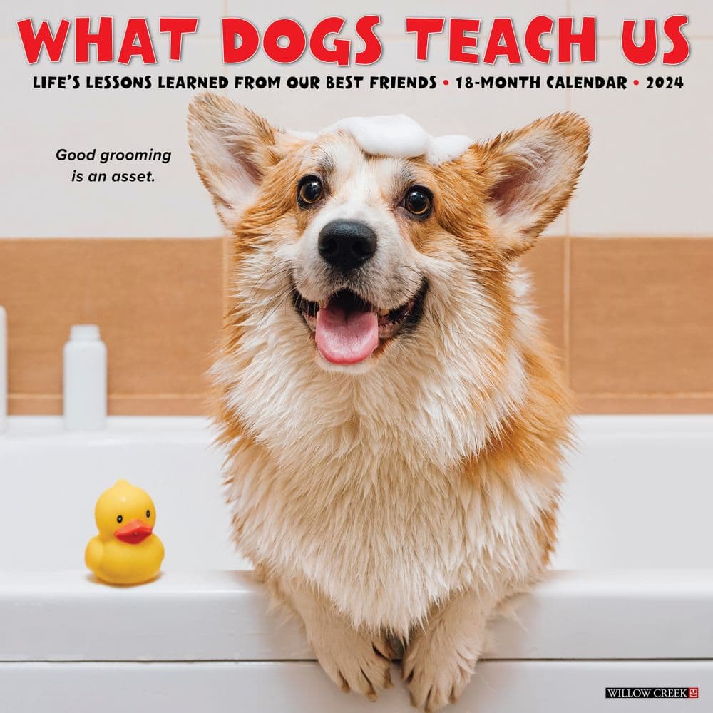 What Dogs Teach Us 2024 Wall Calendar