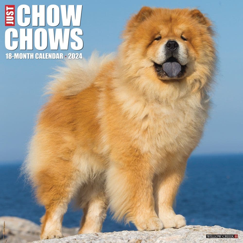 Just Chow Chows 2024 Wall Calendar