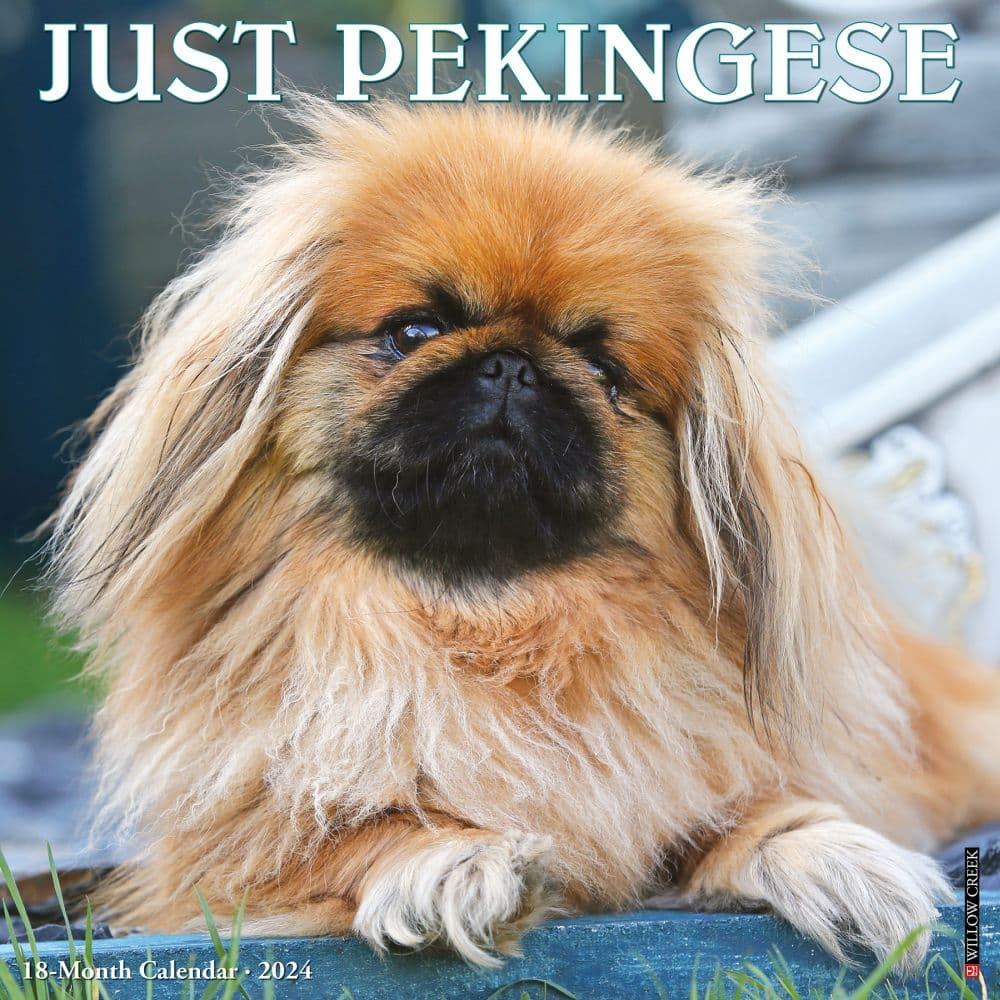 Just Pekingese 2024 Wall Calendar