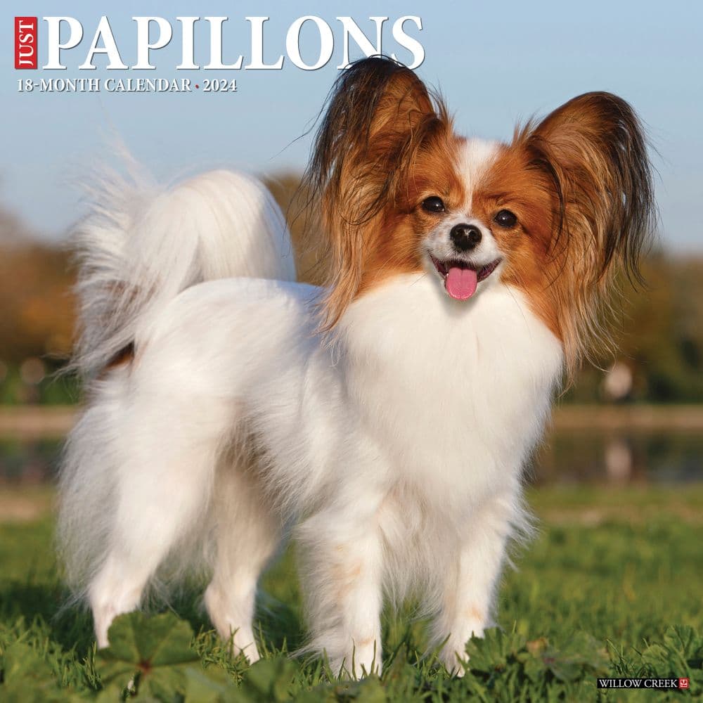 Just Papillons 2024 Wall Calendar