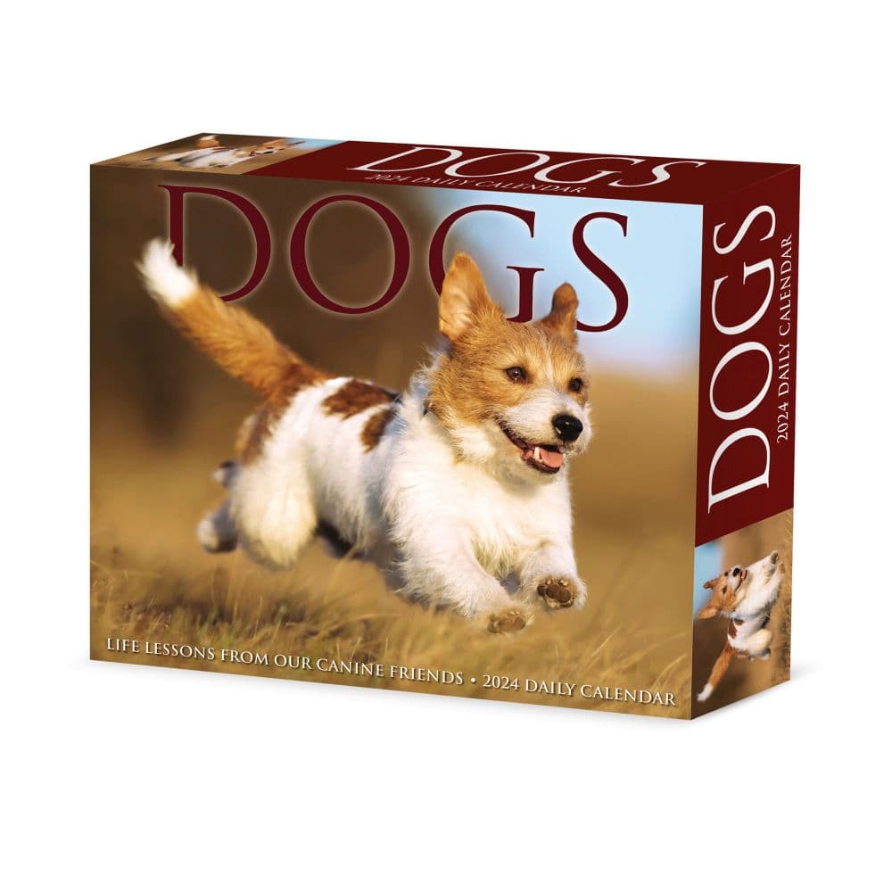 Dogs 2024 Desk Calendar