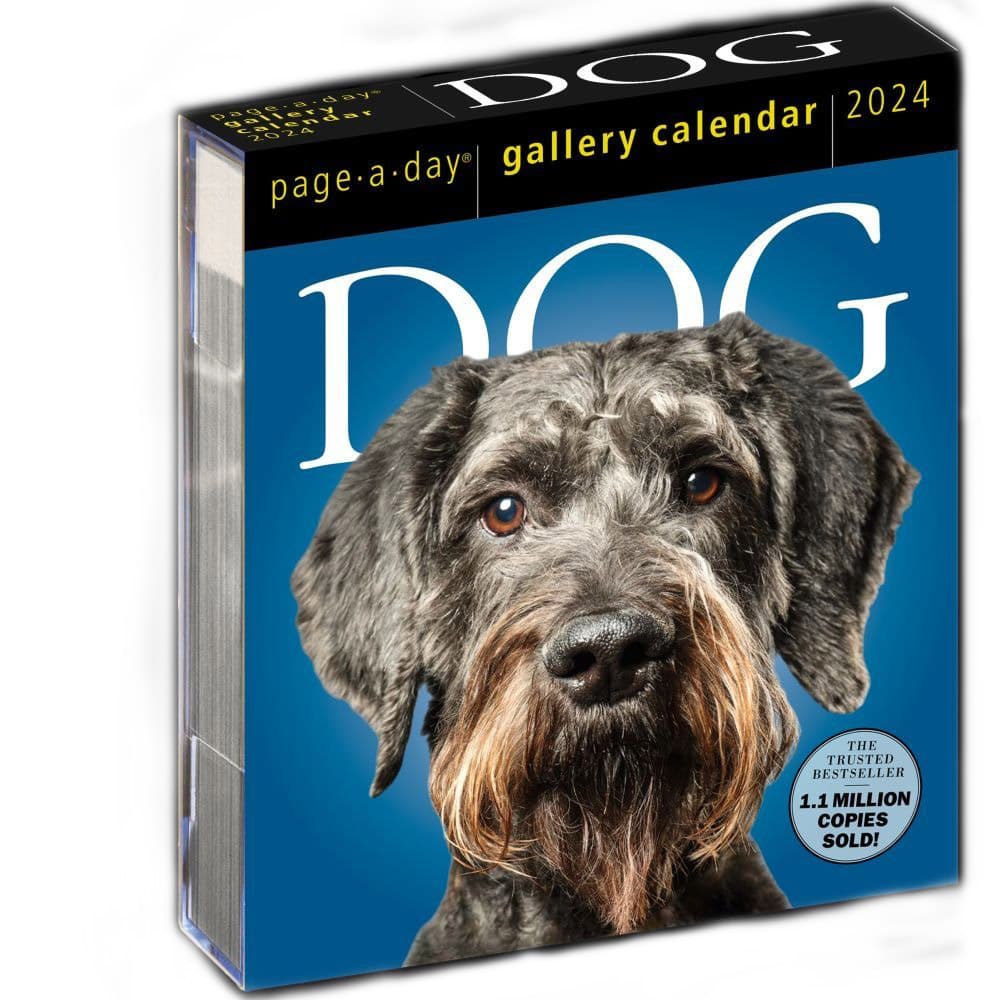 Dog Gallery 2024 Desk Calendar